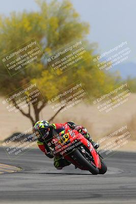 media/Apr-12-2025-Race Pace (Sat) [[9230add55f]]/Vested/6-Turn 4 Tree of Life (115pm)/